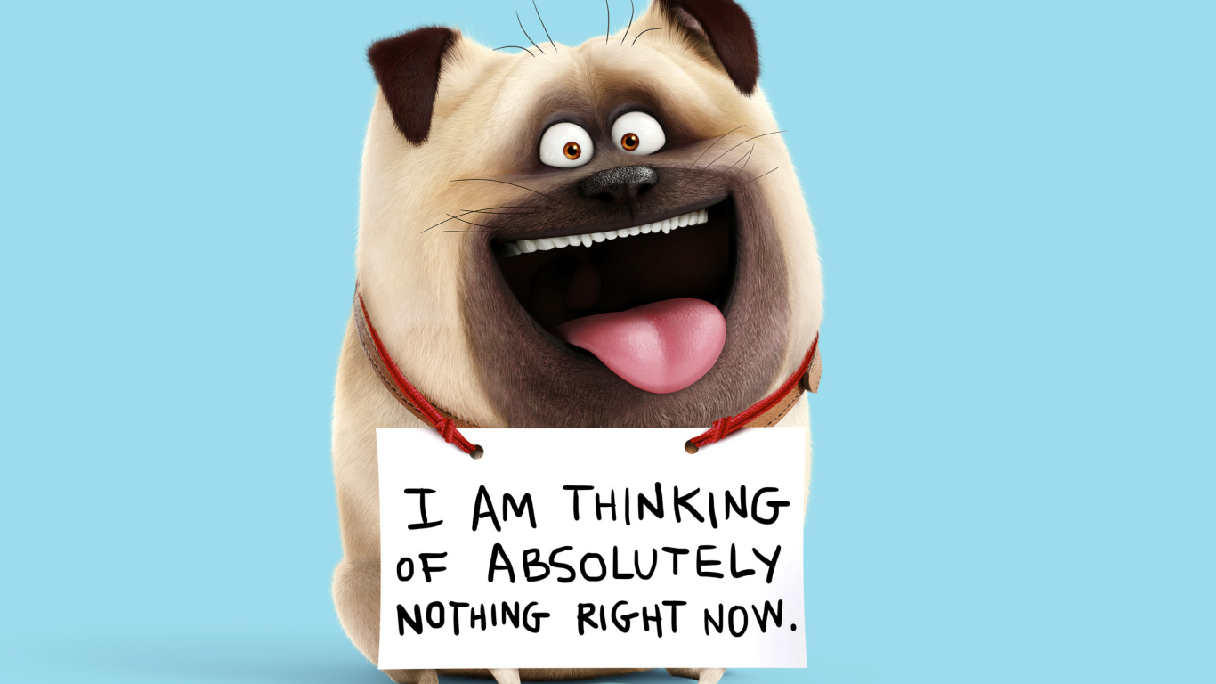 Обои Mel from The Secret Life of Pets 1366x768