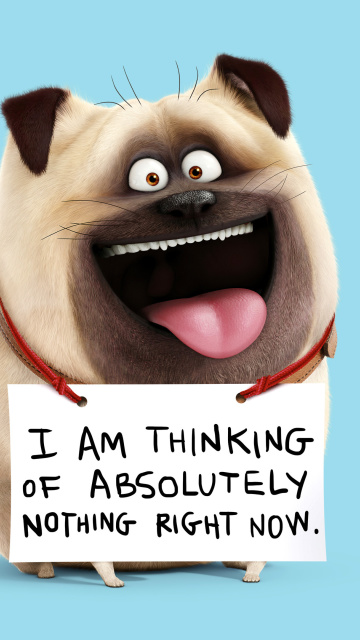 Das Mel from The Secret Life of Pets Wallpaper 360x640