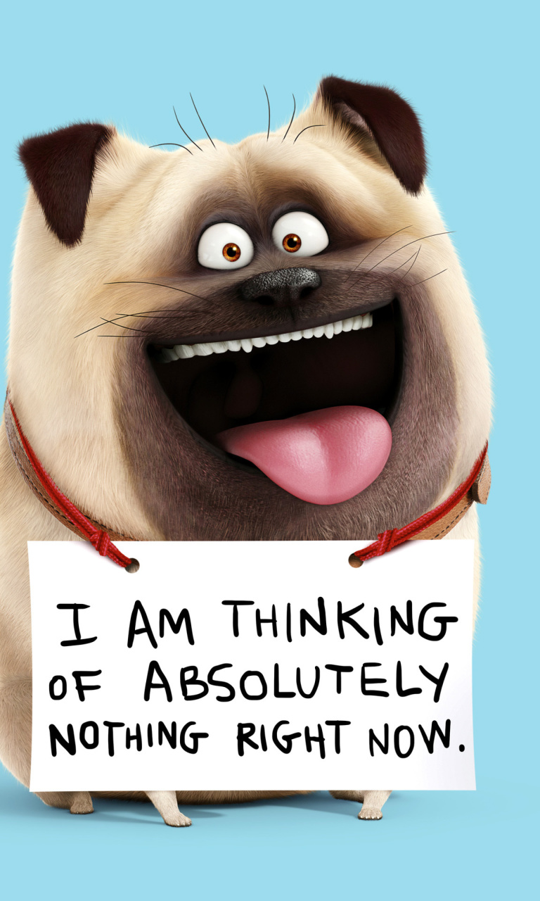 Обои Mel from The Secret Life of Pets 768x1280