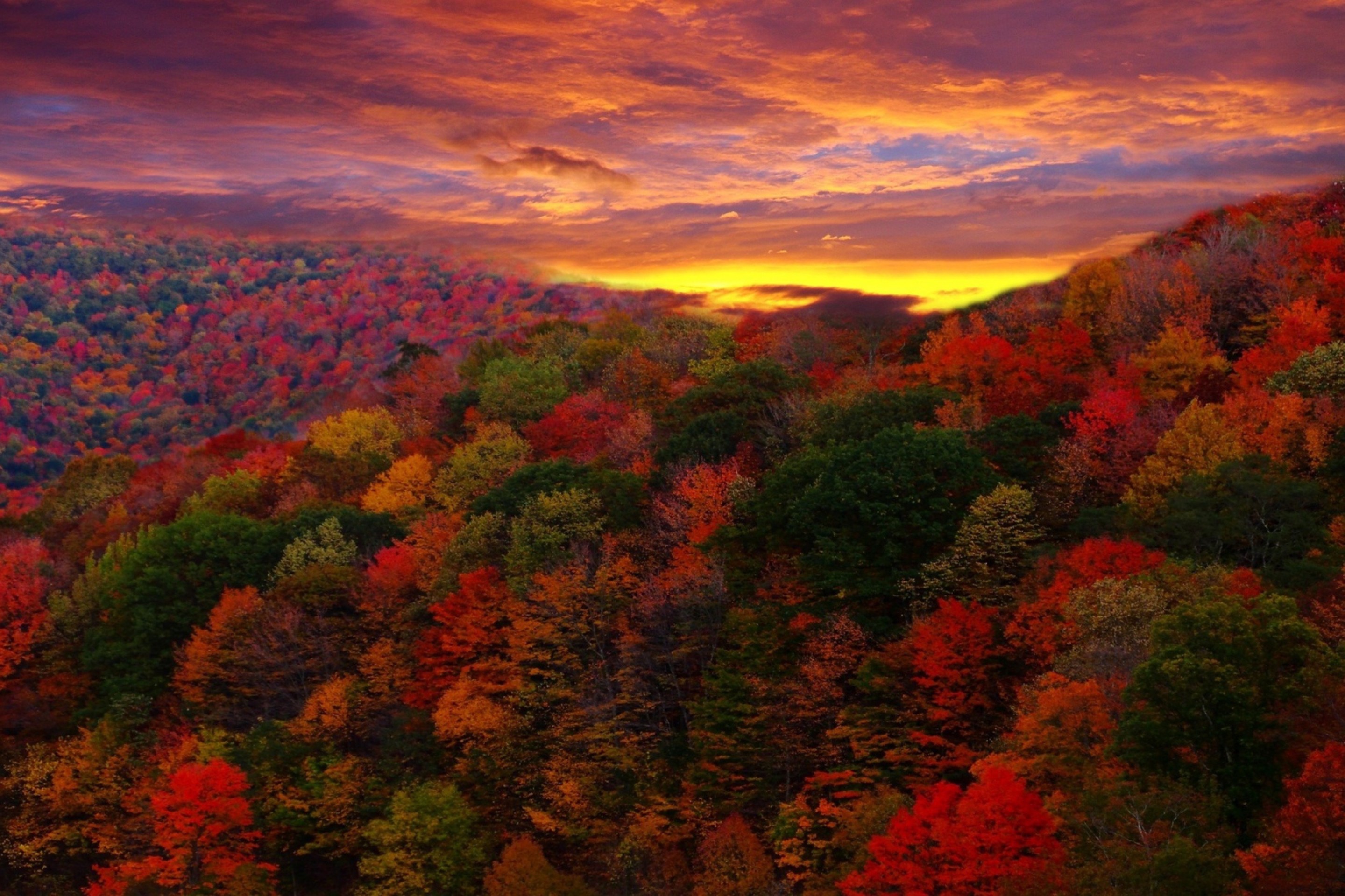 Screenshot №1 pro téma Autumn Forest At Sunset 2880x1920