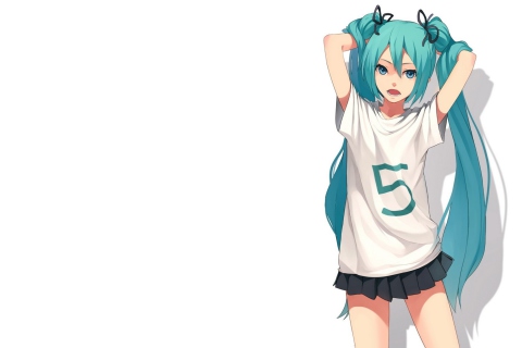 Screenshot №1 pro téma Hatsune Miku Vocaloid 480x320