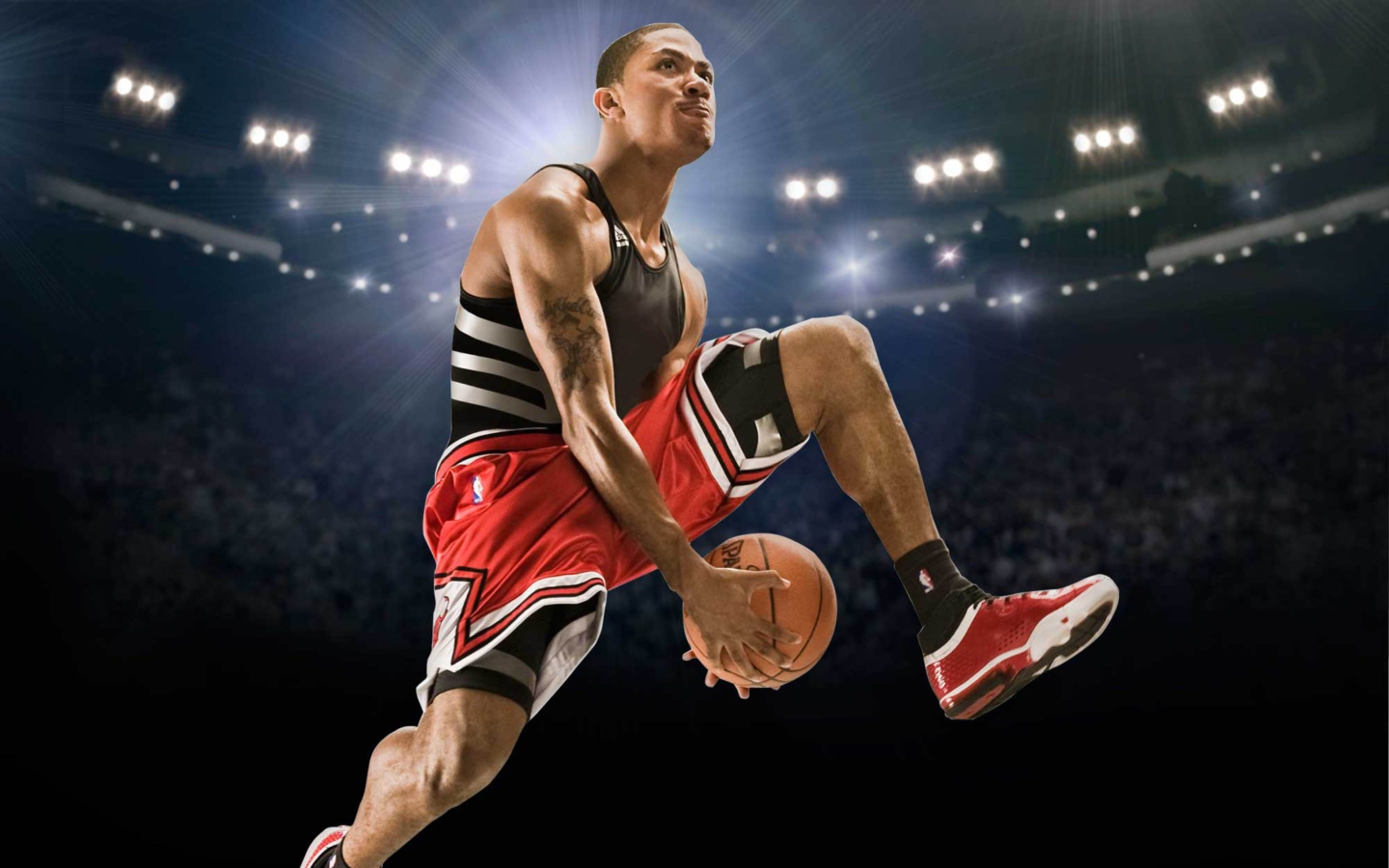 Fondo de pantalla Derrick Rose 1440x900