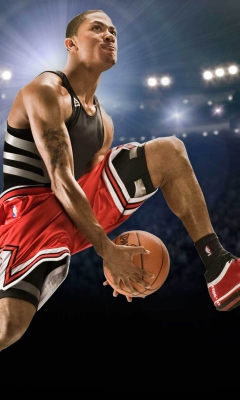 Derrick Rose screenshot #1 240x400