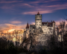 Screenshot №1 pro téma Bran Castle in Romania 220x176