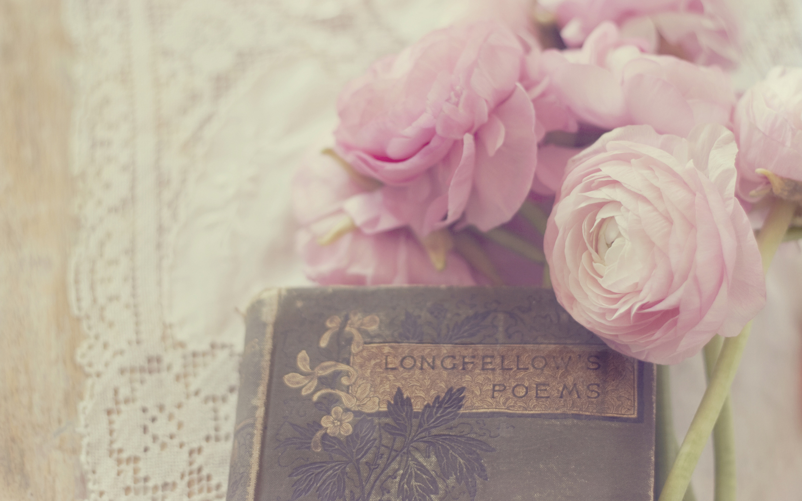 Pink Ranunculus And Vintage Book wallpaper 2560x1600