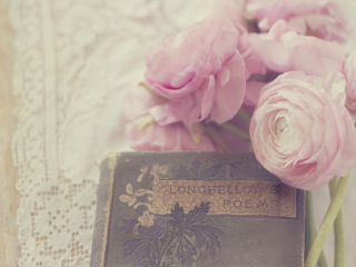 Sfondi Pink Ranunculus And Vintage Book 320x240