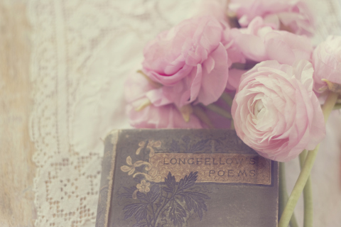 Pink Ranunculus And Vintage Book screenshot #1 480x320