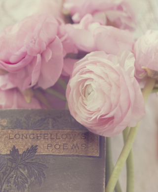 Pink Ranunculus And Vintage Book - Obrázkek zdarma pro 768x1280