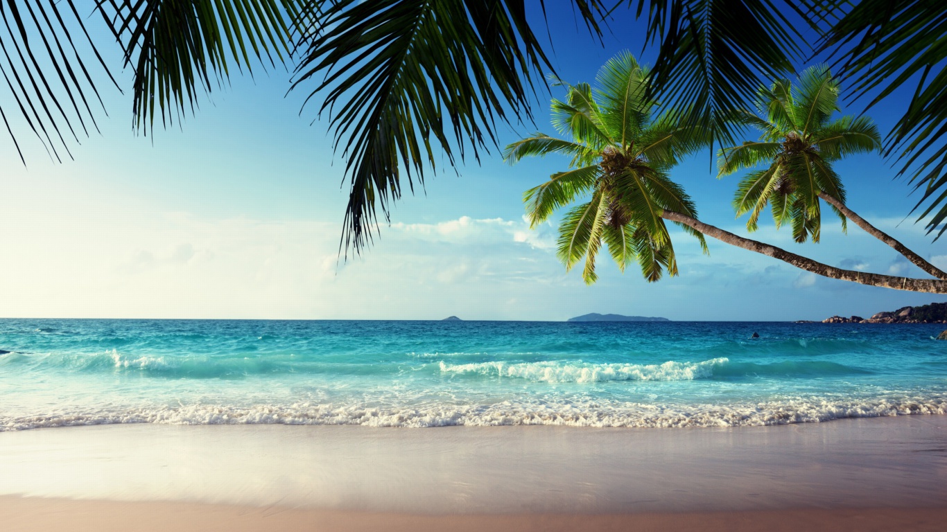 Das Sunshine in Tropics Wallpaper 1366x768