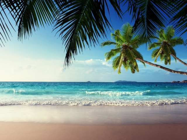 Fondo de pantalla Sunshine in Tropics 640x480