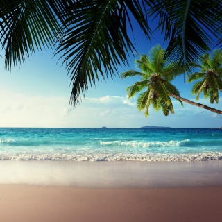 Kostenloses Sunshine in Tropics Wallpaper für iPad Air