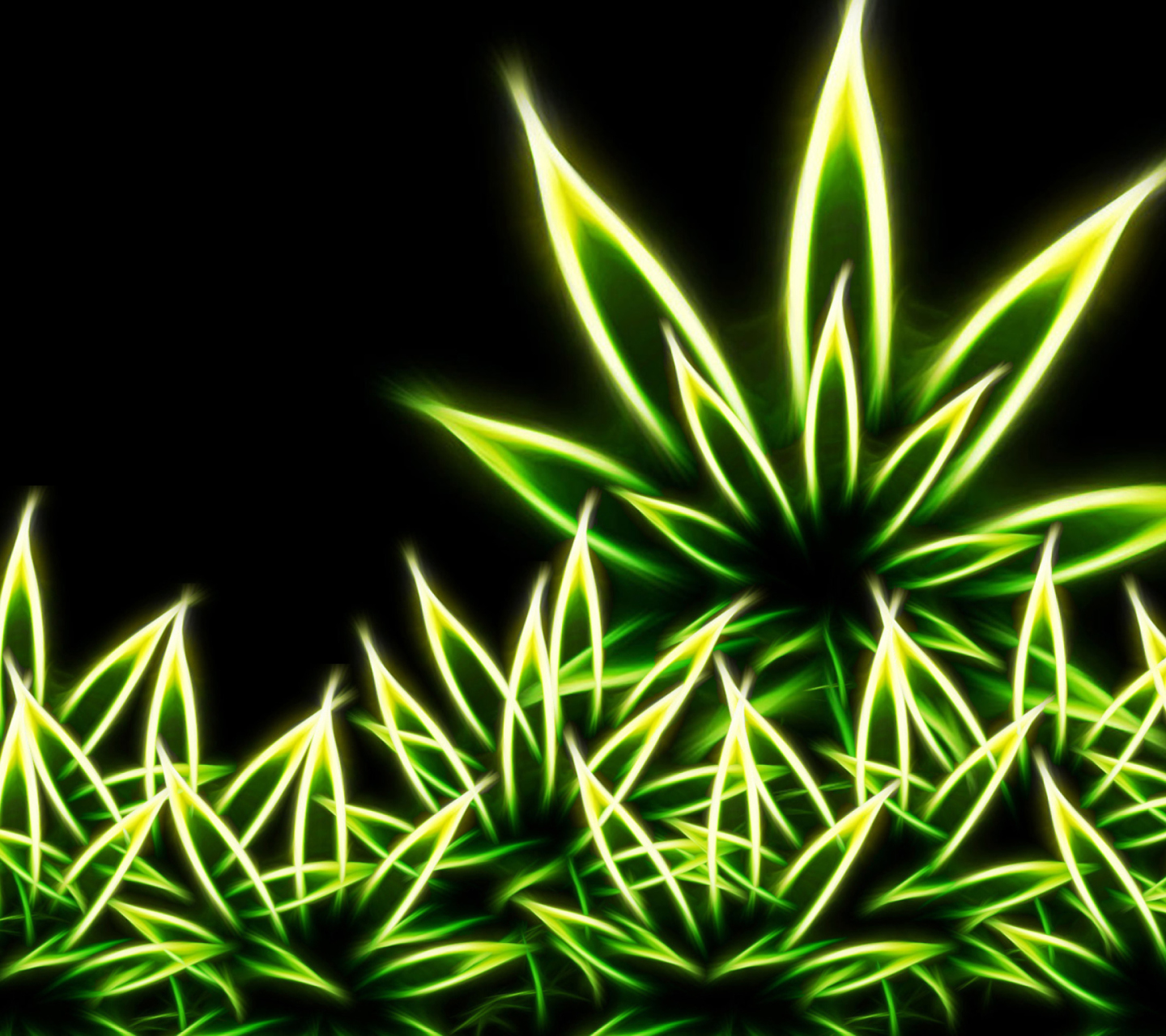 Sfondi Marijuana 1440x1280