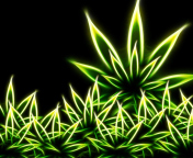 Screenshot №1 pro téma Marijuana 176x144