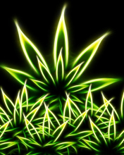 Marijuana screenshot #1 176x220