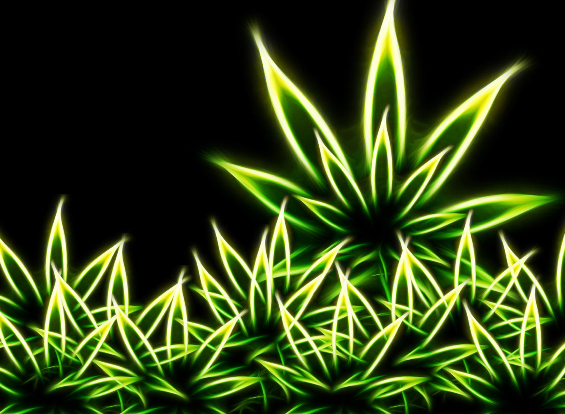 Fondo de pantalla Marijuana 1920x1408