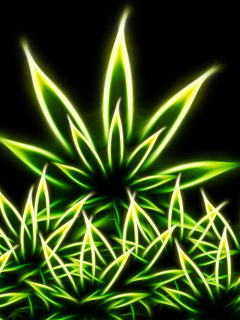 Screenshot №1 pro téma Marijuana 240x320