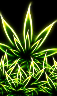 Das Marijuana Wallpaper 240x400