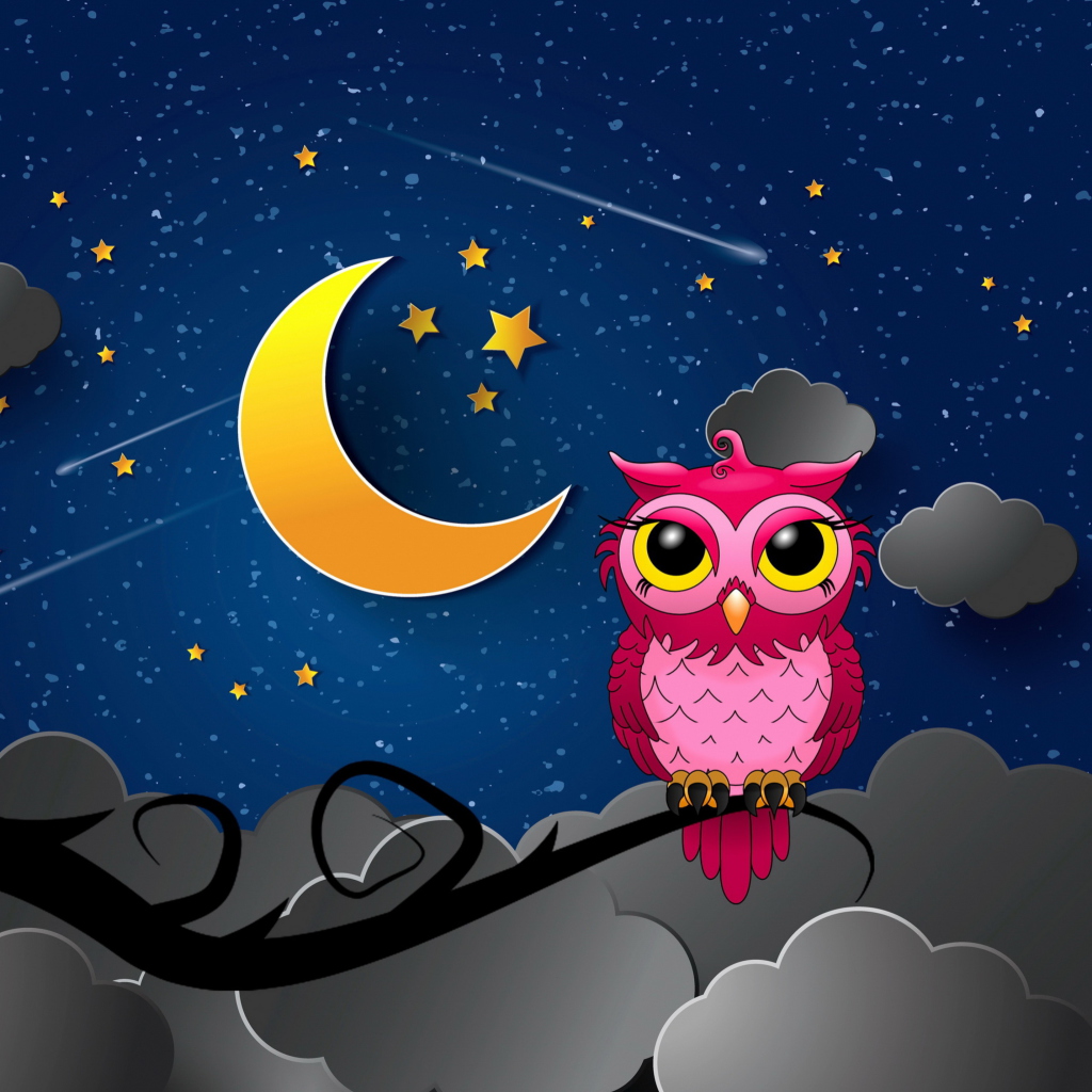 Das Silent Owl Night Wallpaper 1024x1024