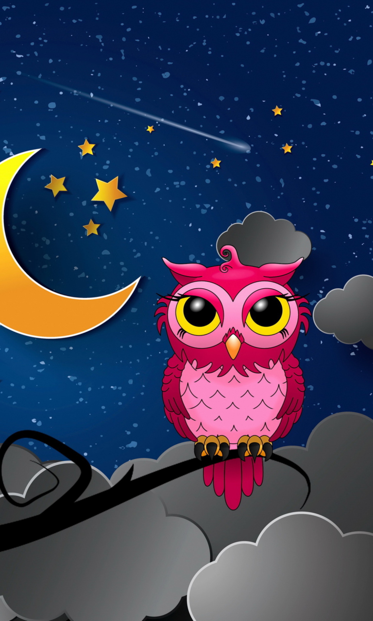 Das Silent Owl Night Wallpaper 768x1280