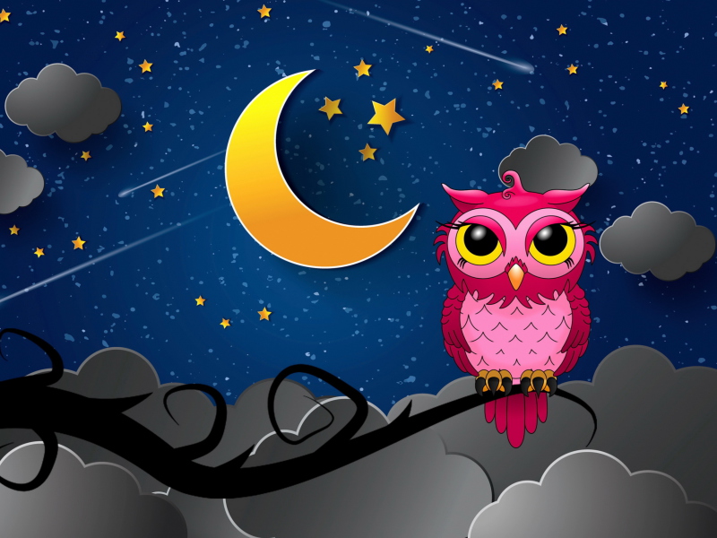 Silent Owl Night wallpaper 800x600