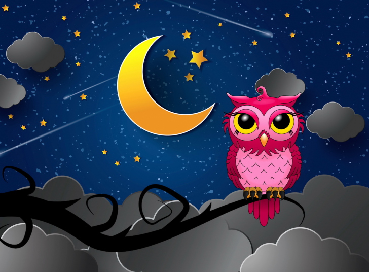 Das Silent Owl Night Wallpaper