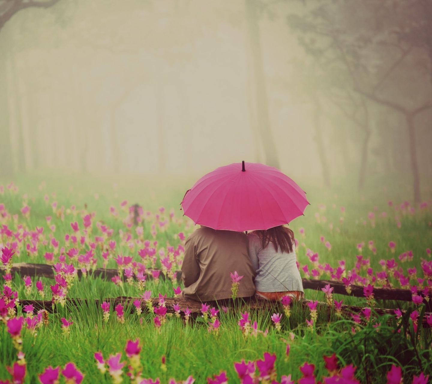 Sfondi Couple Under Pink Umbrella 1440x1280