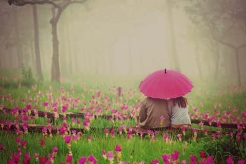 Das Couple Under Pink Umbrella Wallpaper 480x320