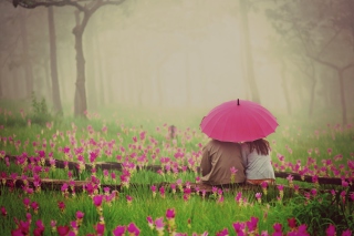 Couple Under Pink Umbrella - Obrázkek zdarma 