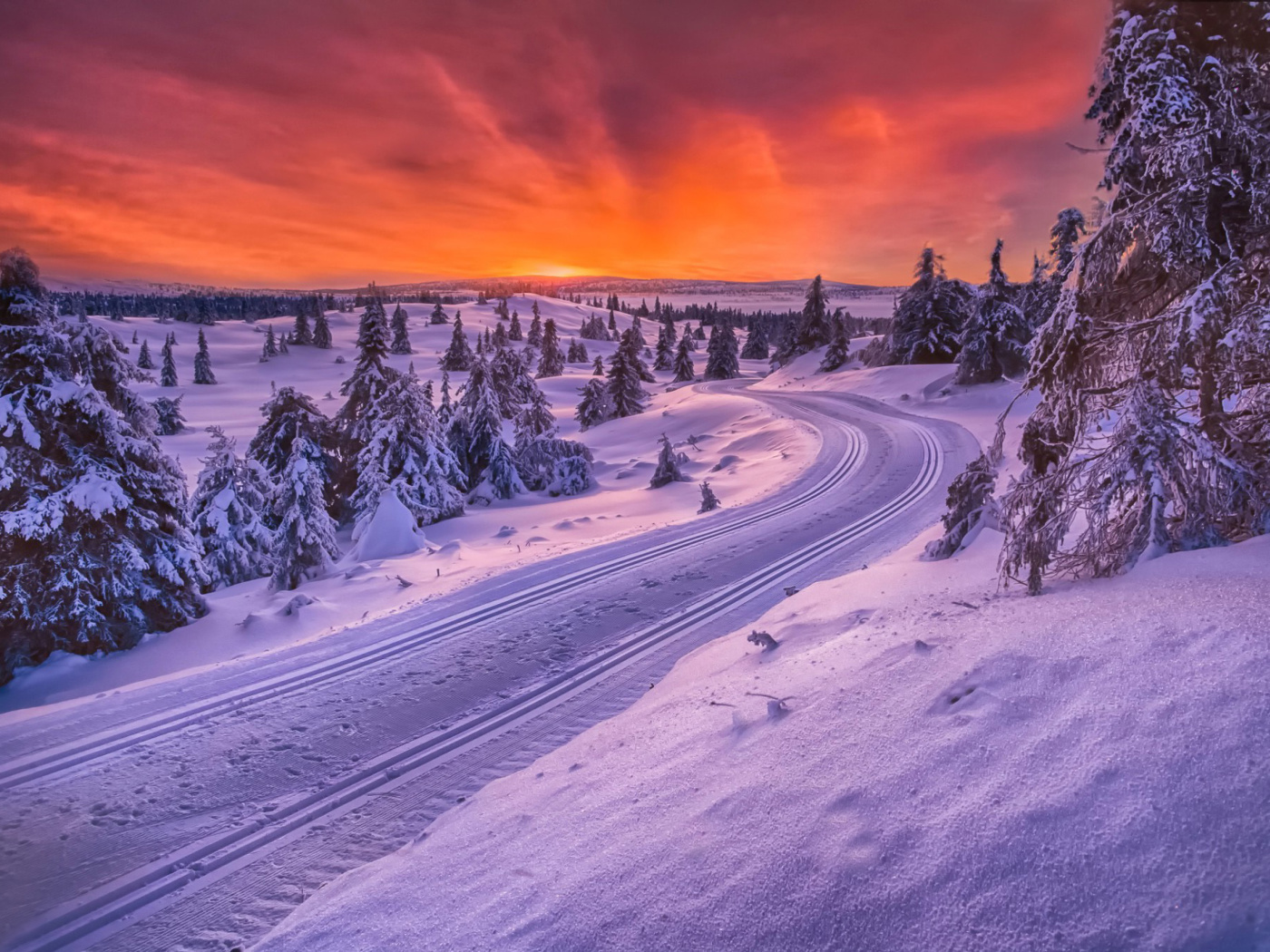 Screenshot №1 pro téma Toboggan road in Scandinavia 1400x1050