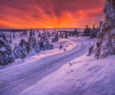 Toboggan road in Scandinavia screenshot #1 480x400