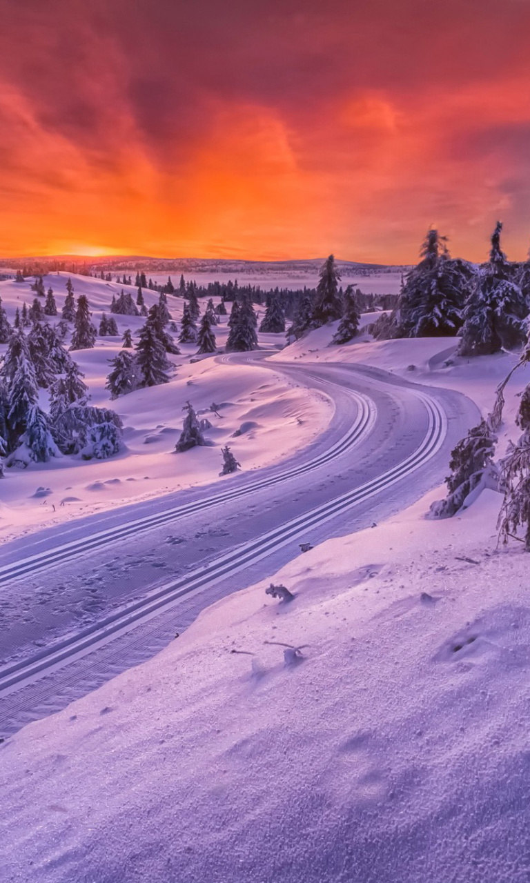 Sfondi Toboggan road in Scandinavia 768x1280