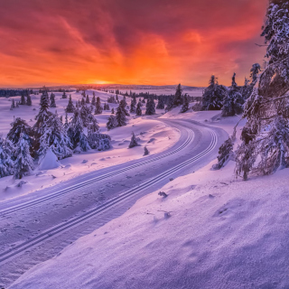 Toboggan road in Scandinavia - Obrázkek zdarma pro iPad 2