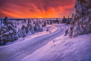 Toboggan road in Scandinavia Picture for Android, iPhone and iPad