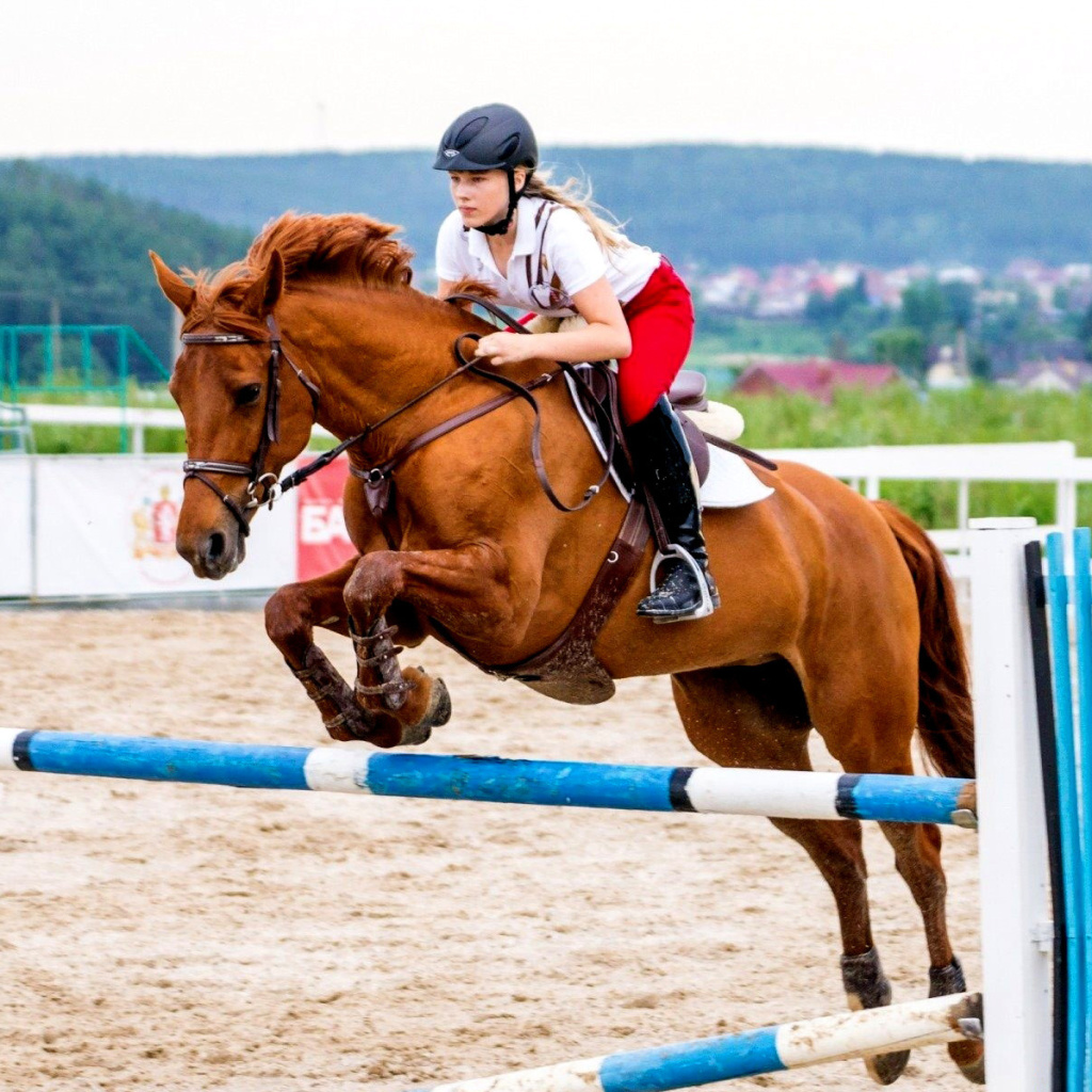 Screenshot №1 pro téma Equestrian Sport, Equitation 1024x1024