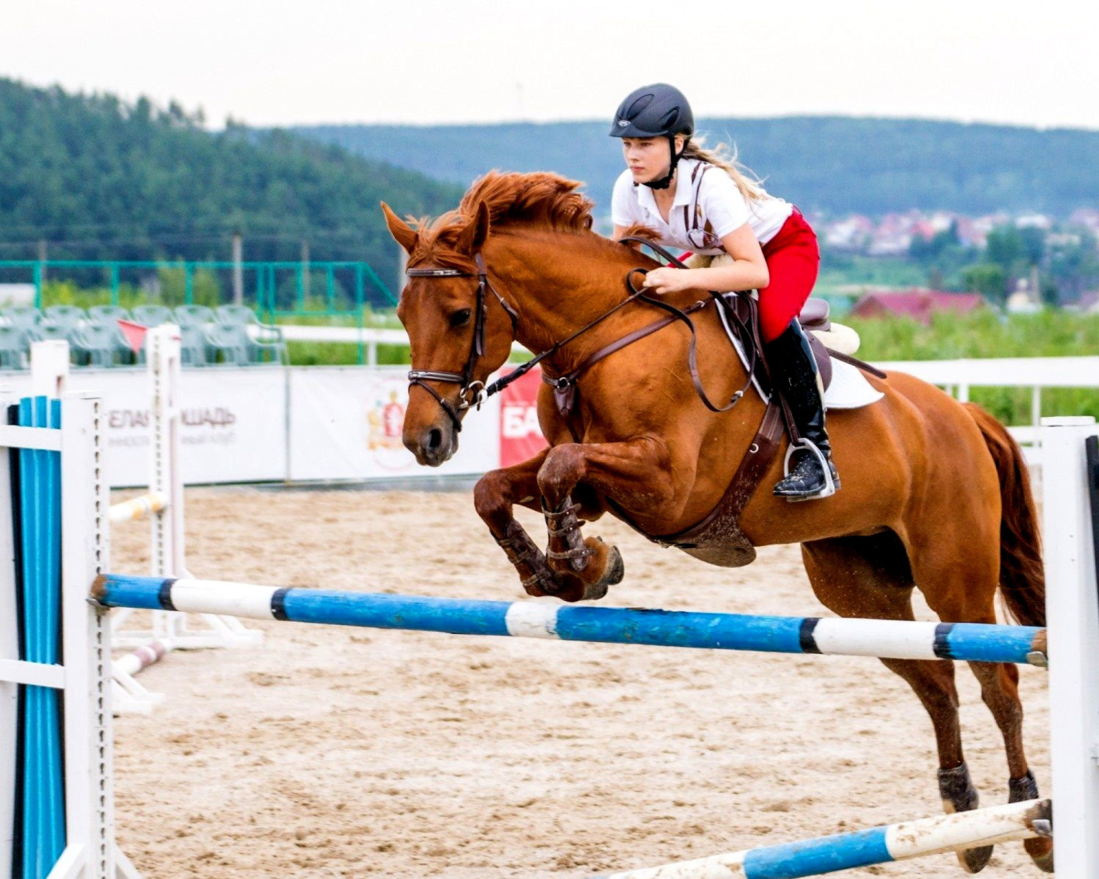 Screenshot №1 pro téma Equestrian Sport, Equitation 1600x1280
