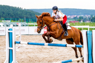 Equestrian Sport, Equitation - Obrázkek zdarma pro Nokia Asha 200