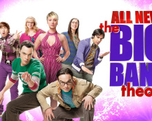 Das The Big Bang Theory Wallpaper 220x176