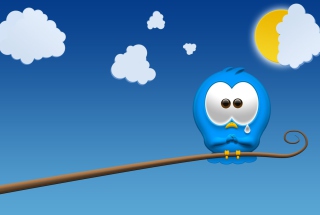 Sad Bird Wallpaper for Android, iPhone and iPad