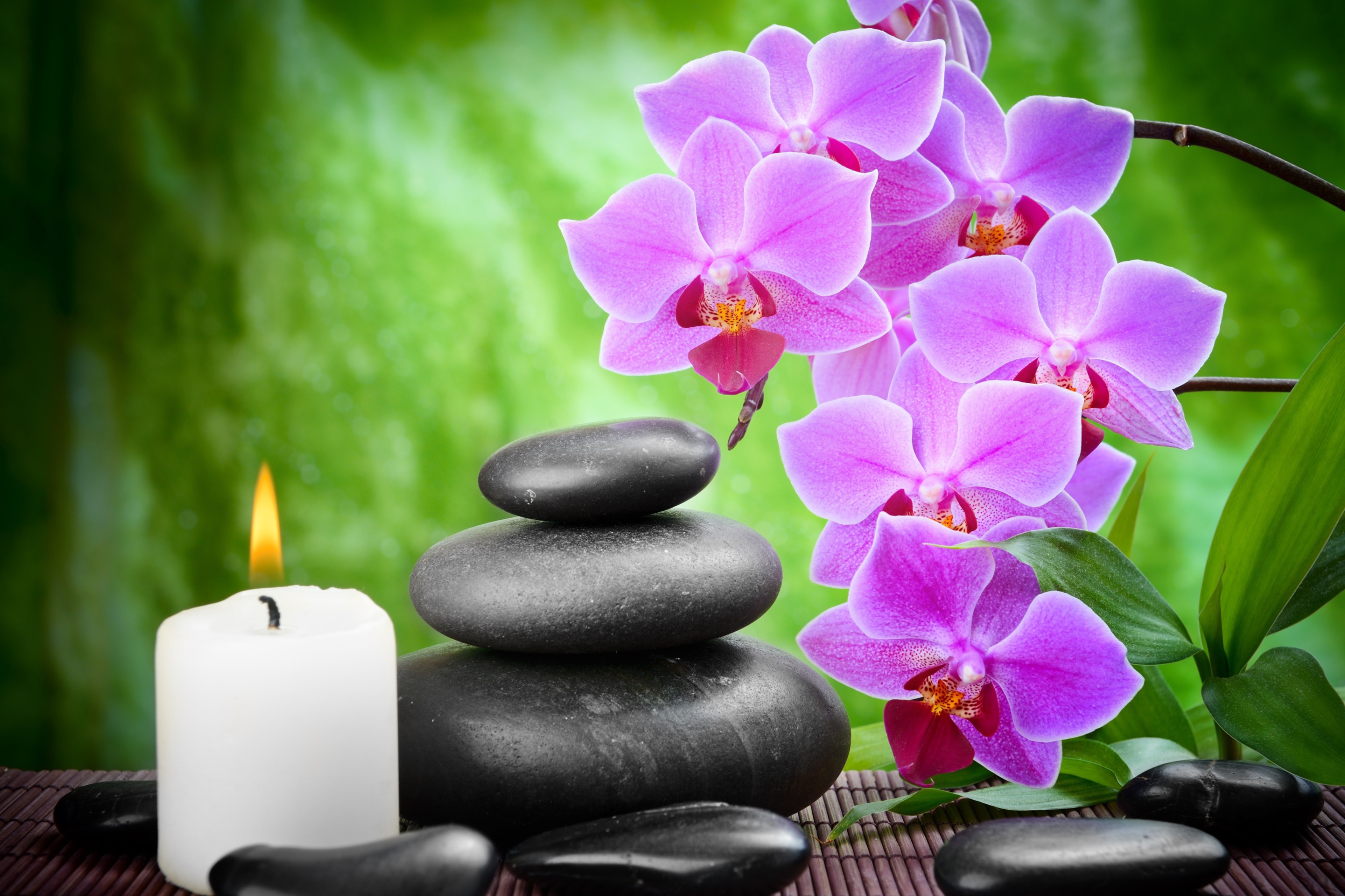 Обои Pebbles, candles and orchids 2880x1920
