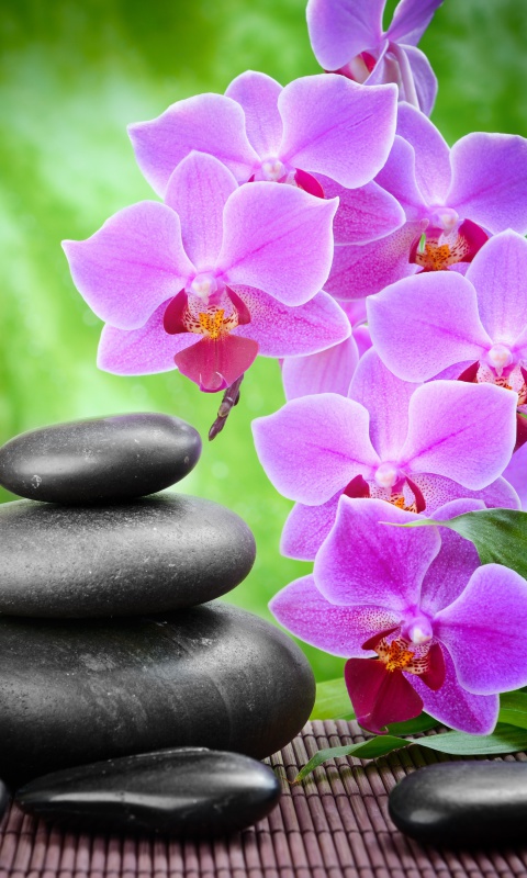 Das Pebbles, candles and orchids Wallpaper 480x800