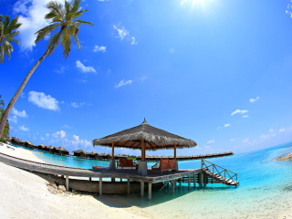 Обои Luxury Bungalows in Maldives Resort 320x240