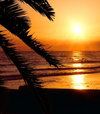 Tropical Paradise Beach - Obrázkek zdarma pro 128x160