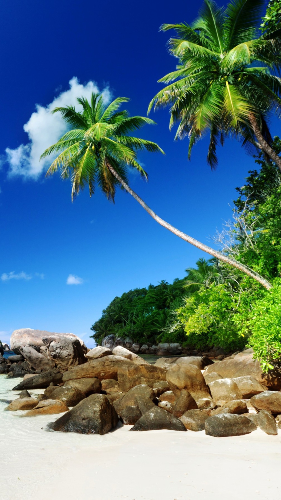 Screenshot №1 pro téma Tropical Beach 1080x1920