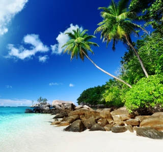 Tropical Beach - Obrázkek zdarma pro 1024x1024