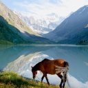 Screenshot №1 pro téma Mountains Lake Horse 128x128