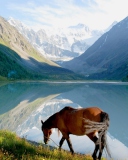 Screenshot №1 pro téma Mountains Lake Horse 128x160