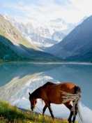 Sfondi Mountains Lake Horse 132x176