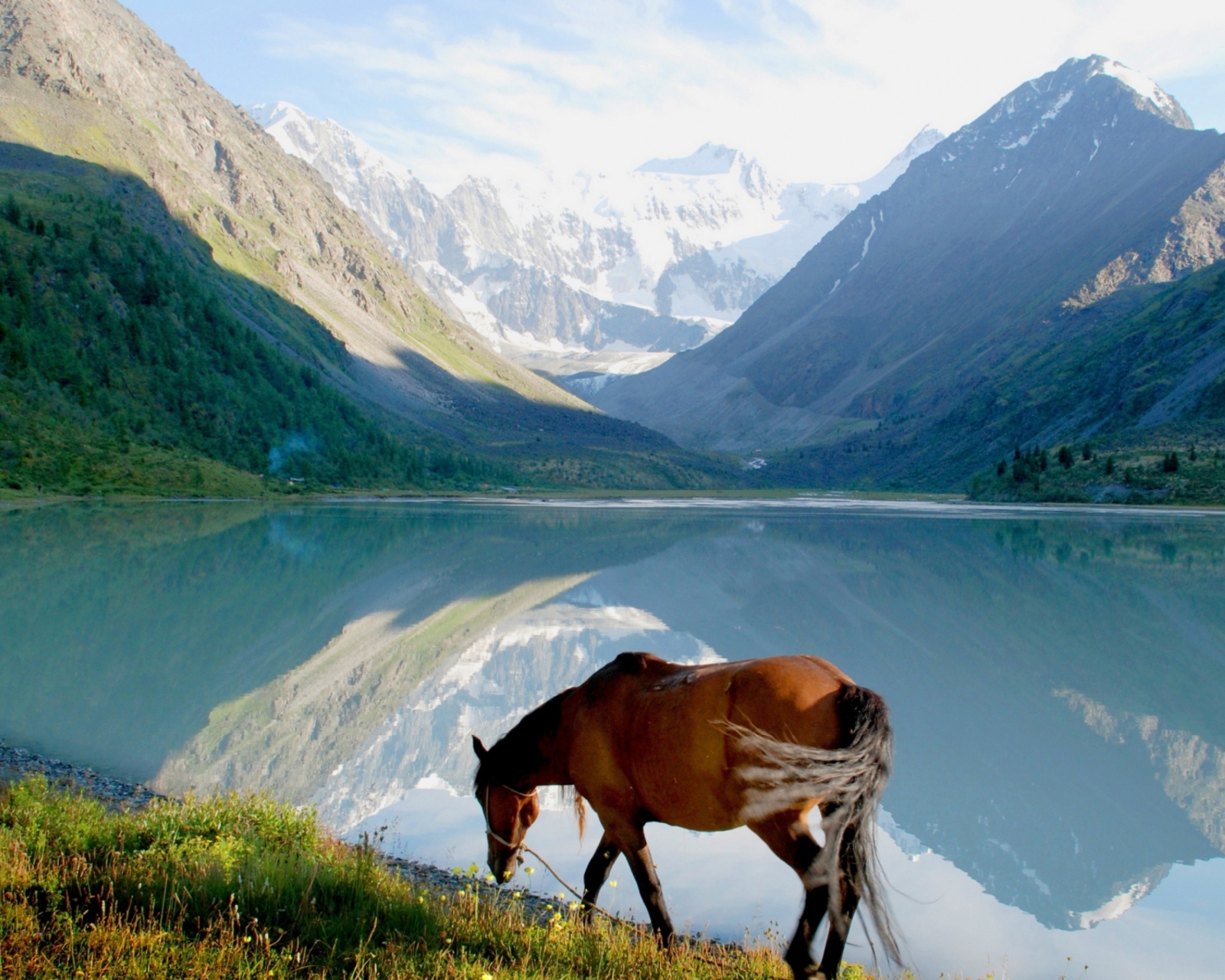 Das Mountains Lake Horse Wallpaper 1600x1280