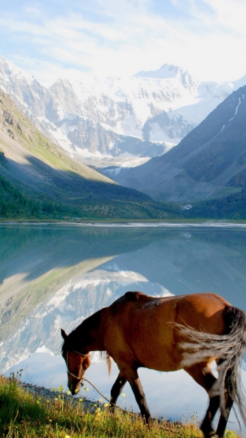 Обои Mountains Lake Horse 360x640