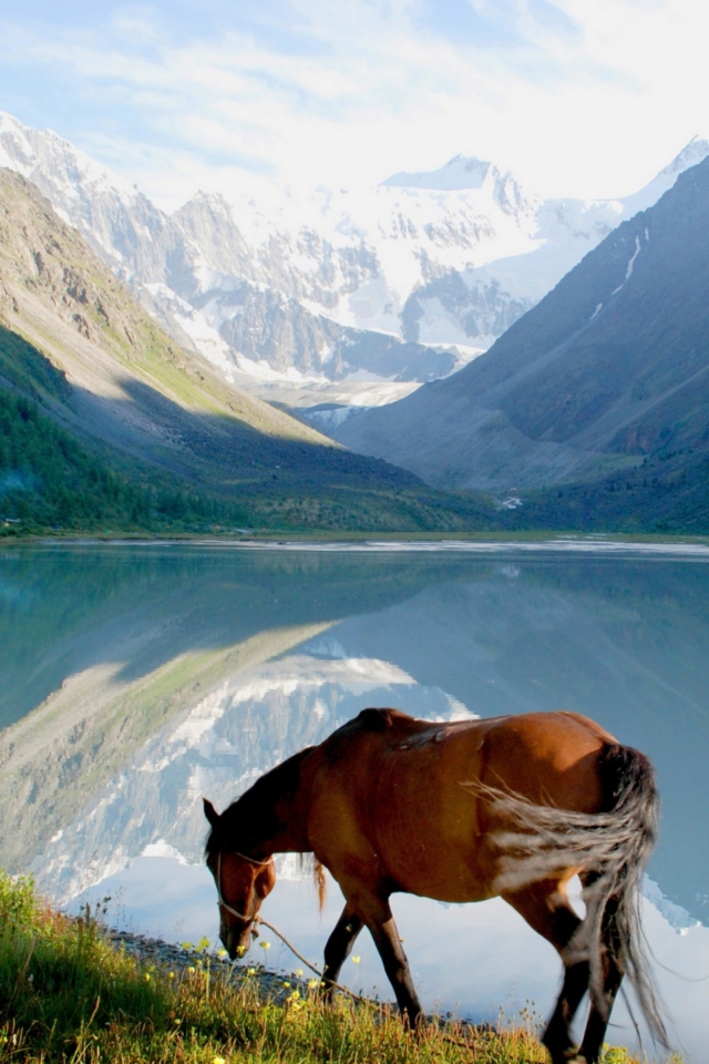 Fondo de pantalla Mountains Lake Horse 640x960